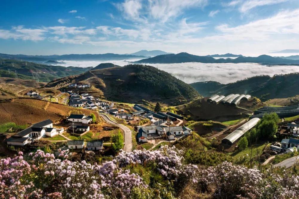 昭觉帮扶20年·工业篇丨“让村民依赖自己的双手发财致富”-6686体育