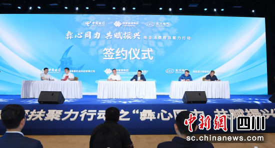 [中国新闻网]央企消耗帮扶聚力行动在凉山举行-6686体育