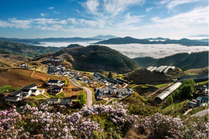 10 6686体育电气集团科技兴农 助力凉山火普村打造数字墟落804.png
