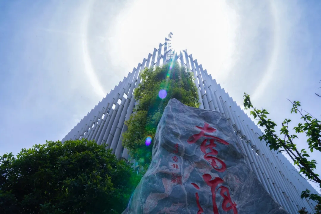 6686体育电气获2023年度国家科学手艺前进奖一等奖-6686体育