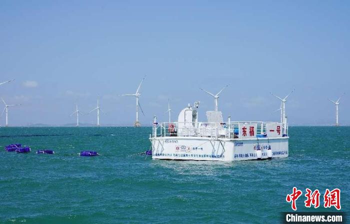 [中国新闻网]全球首次海优势电无淡化海水直接电解制氢海试乐成-6686体育