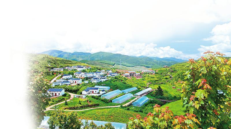 [四川日报]倾情帮扶二十载 助力绘就振兴路-6686体育
